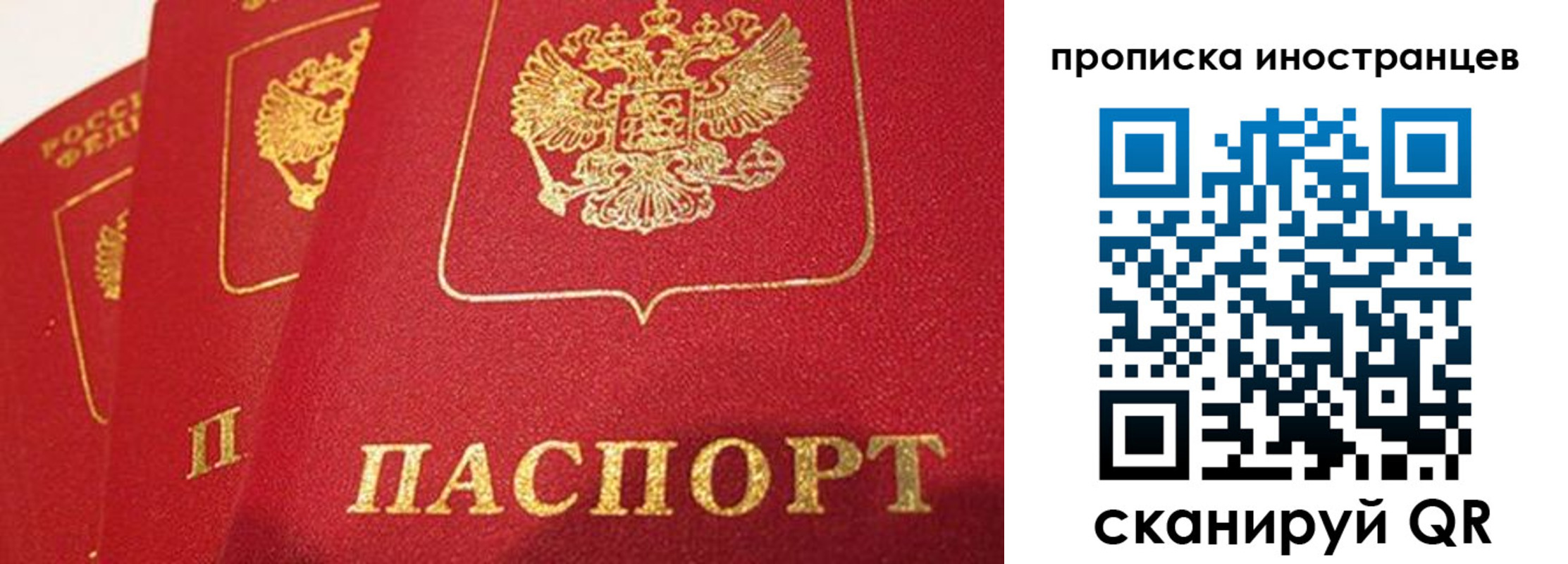 прописка поиск в Никольске